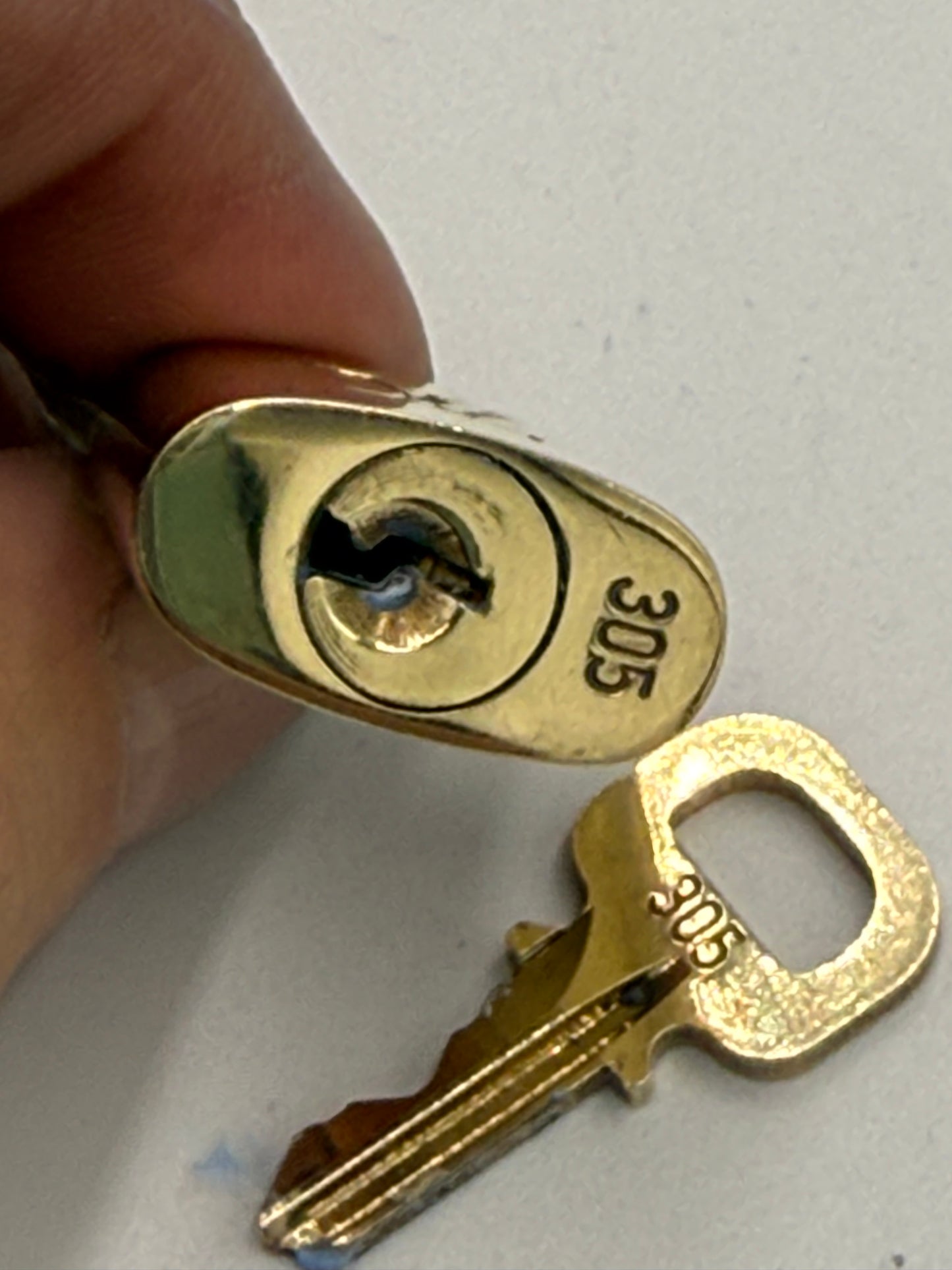 Louis Vuitton Lock and 2 Keys #305