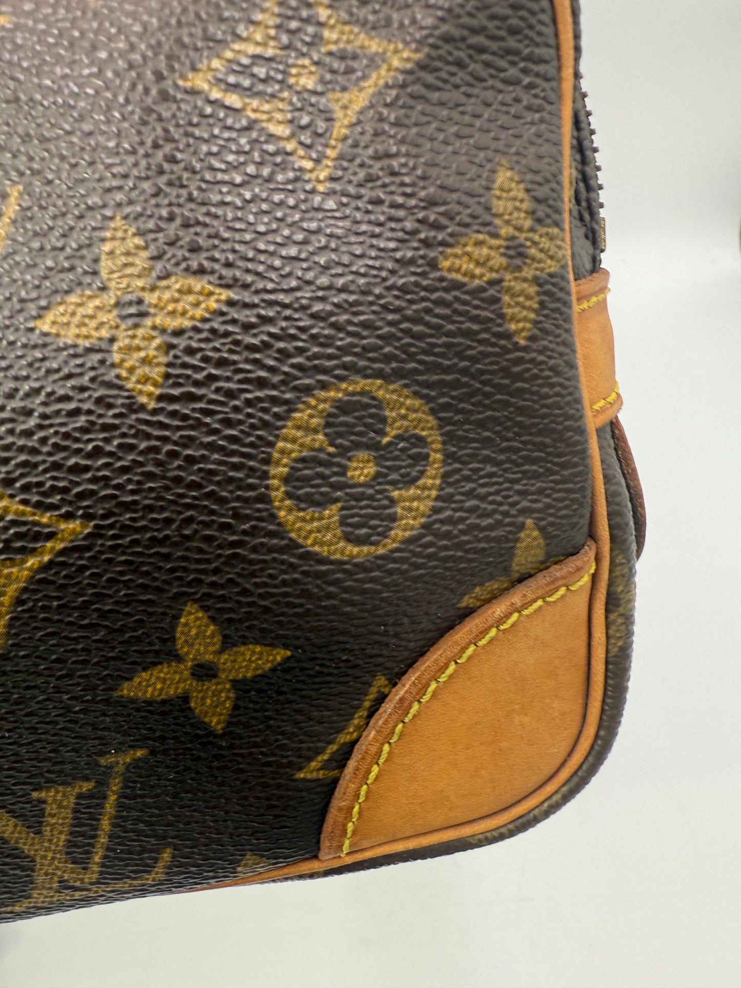 Louis Vuitton Monogram Wristlet 22 cm TH8910