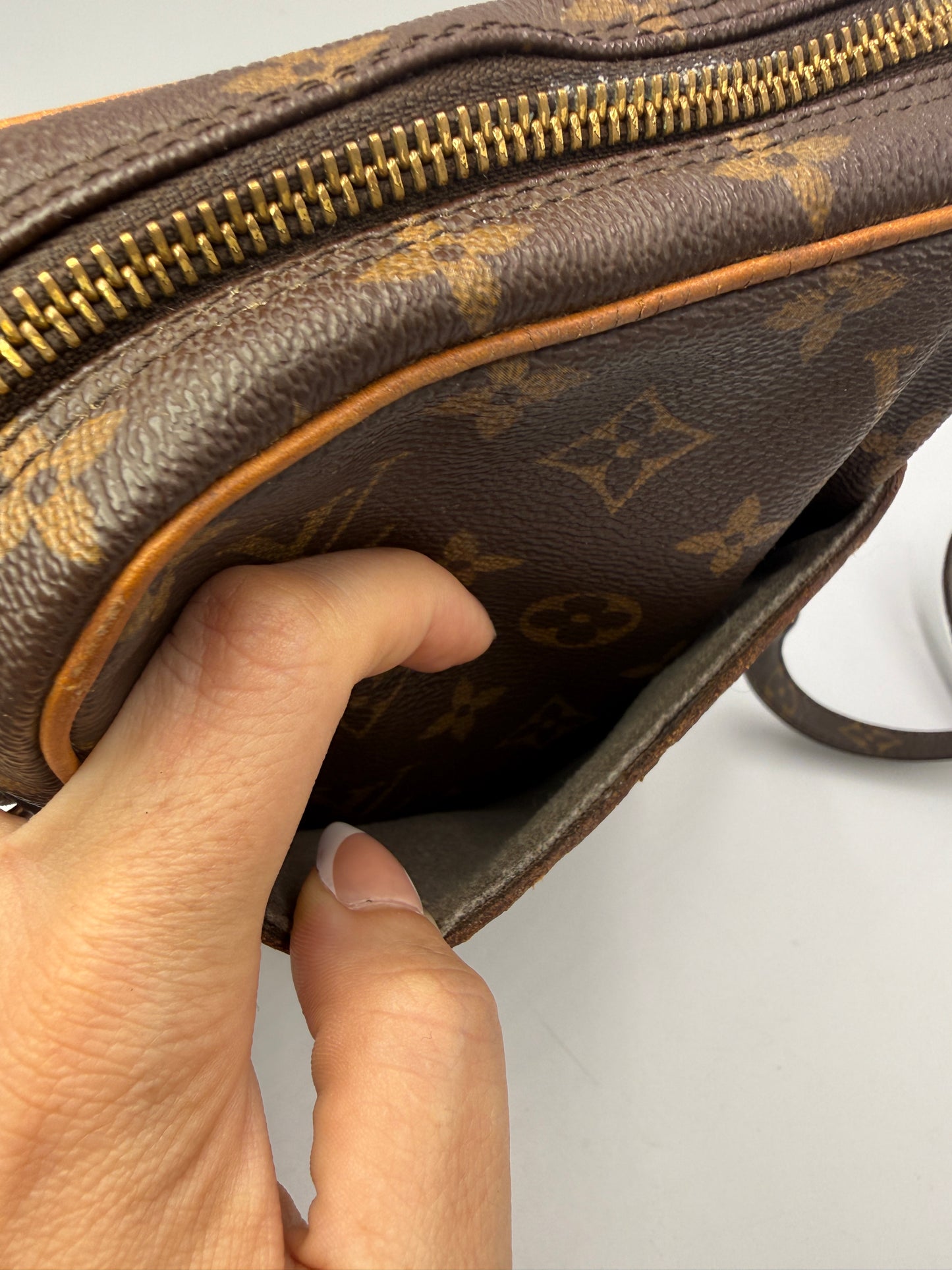 Louis Vuitton Monogram Danube Crossbody SL0949
