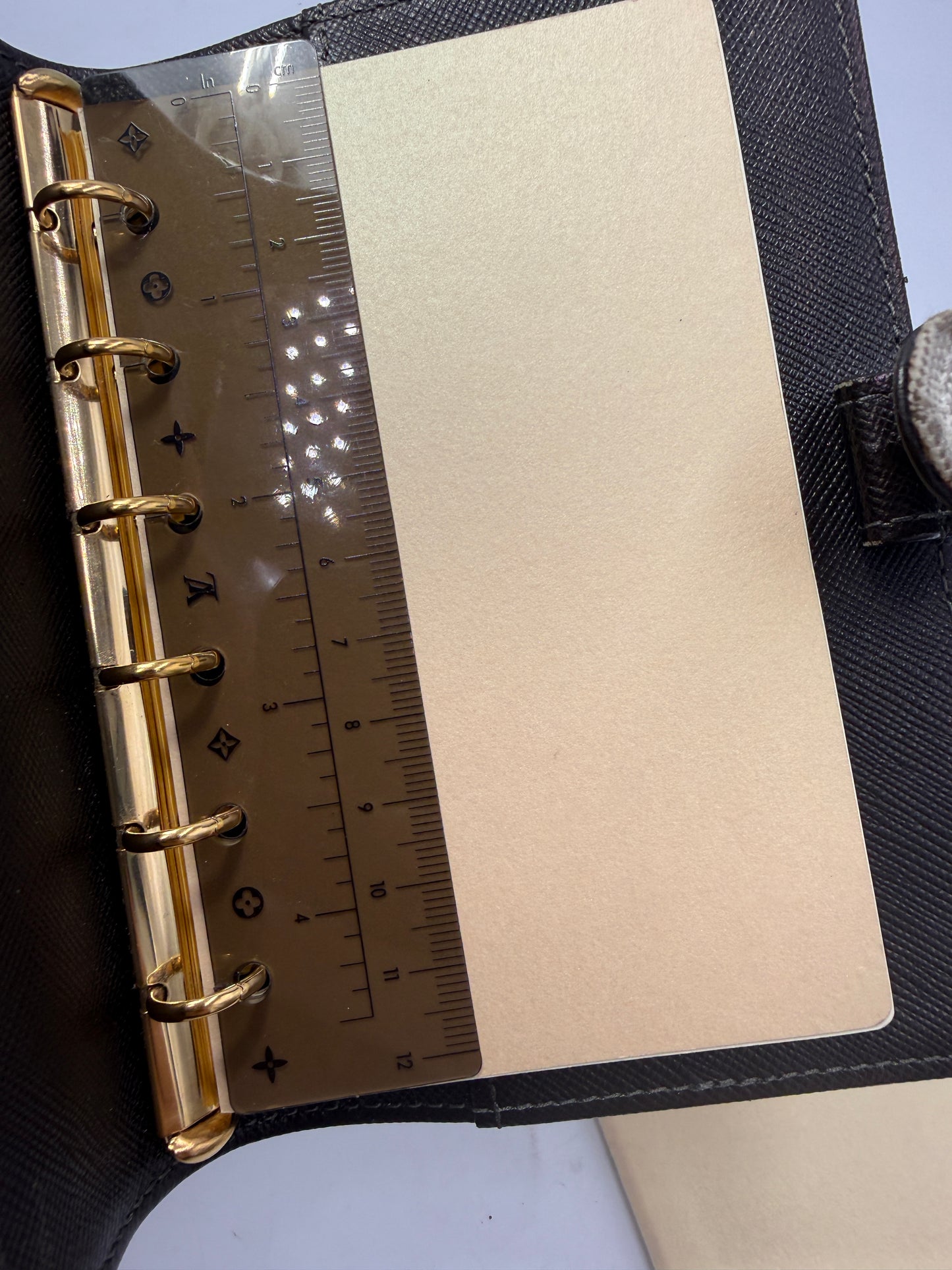 Louis Vuitton Monogram Mini Lin Tan Grey Agenda PM CA1001