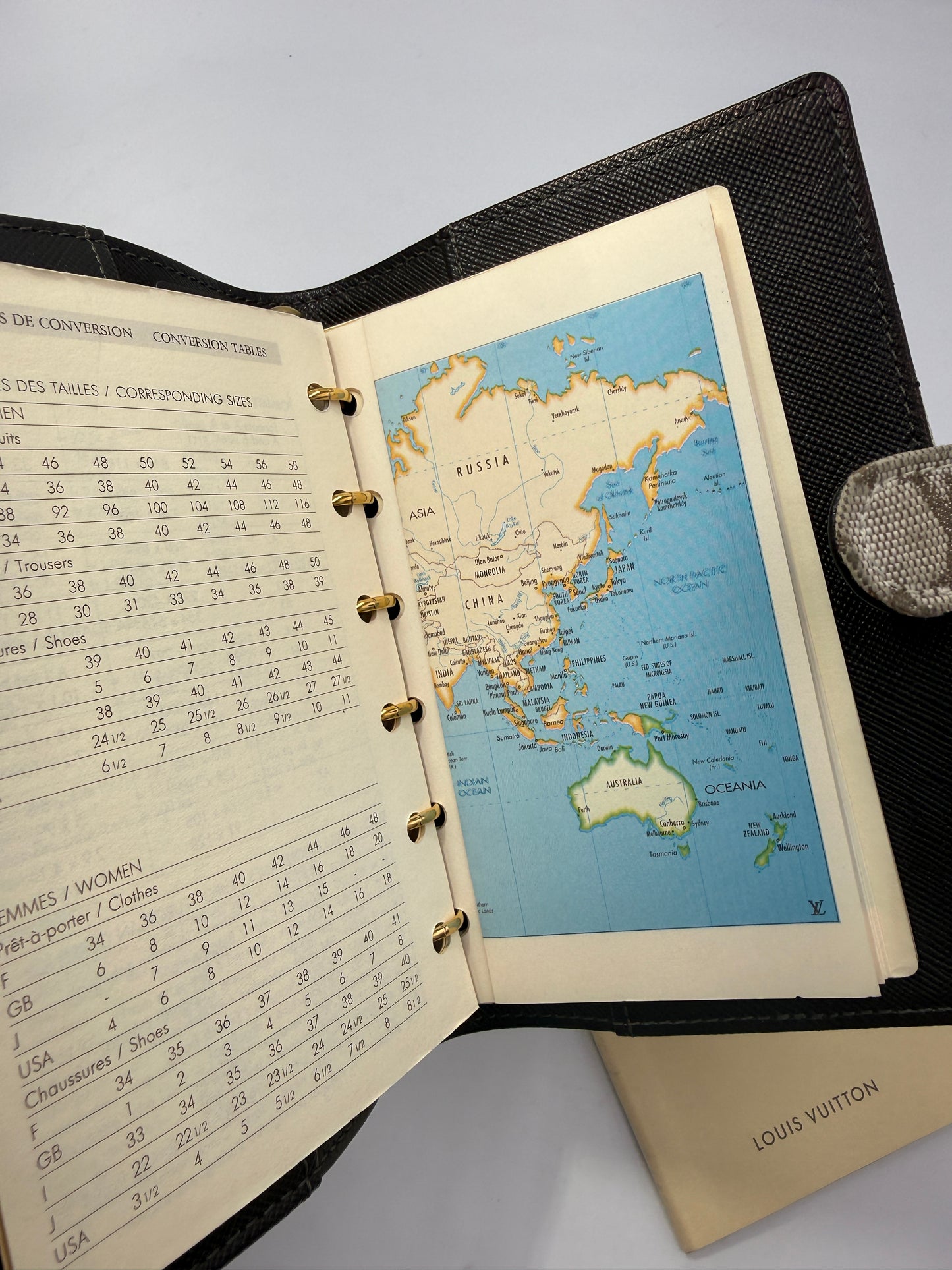 Louis Vuitton Monogram Mini Lin Tan Grey Agenda PM CA1001