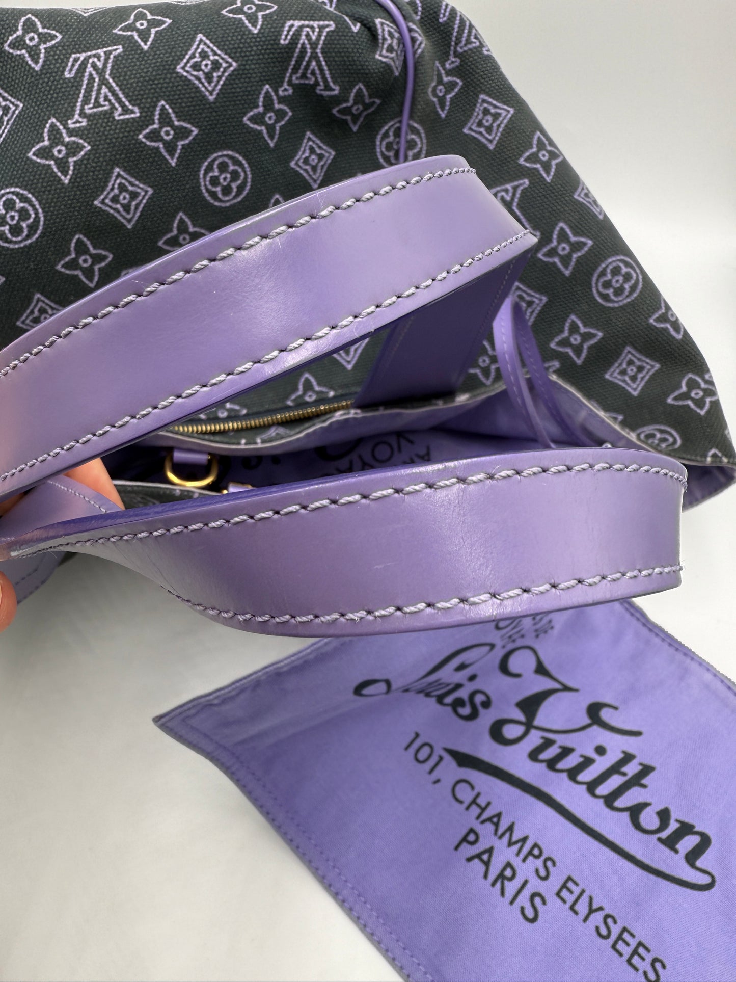 Louis Vuitton Purple Canvas Cabas Ipanema GM MB1079