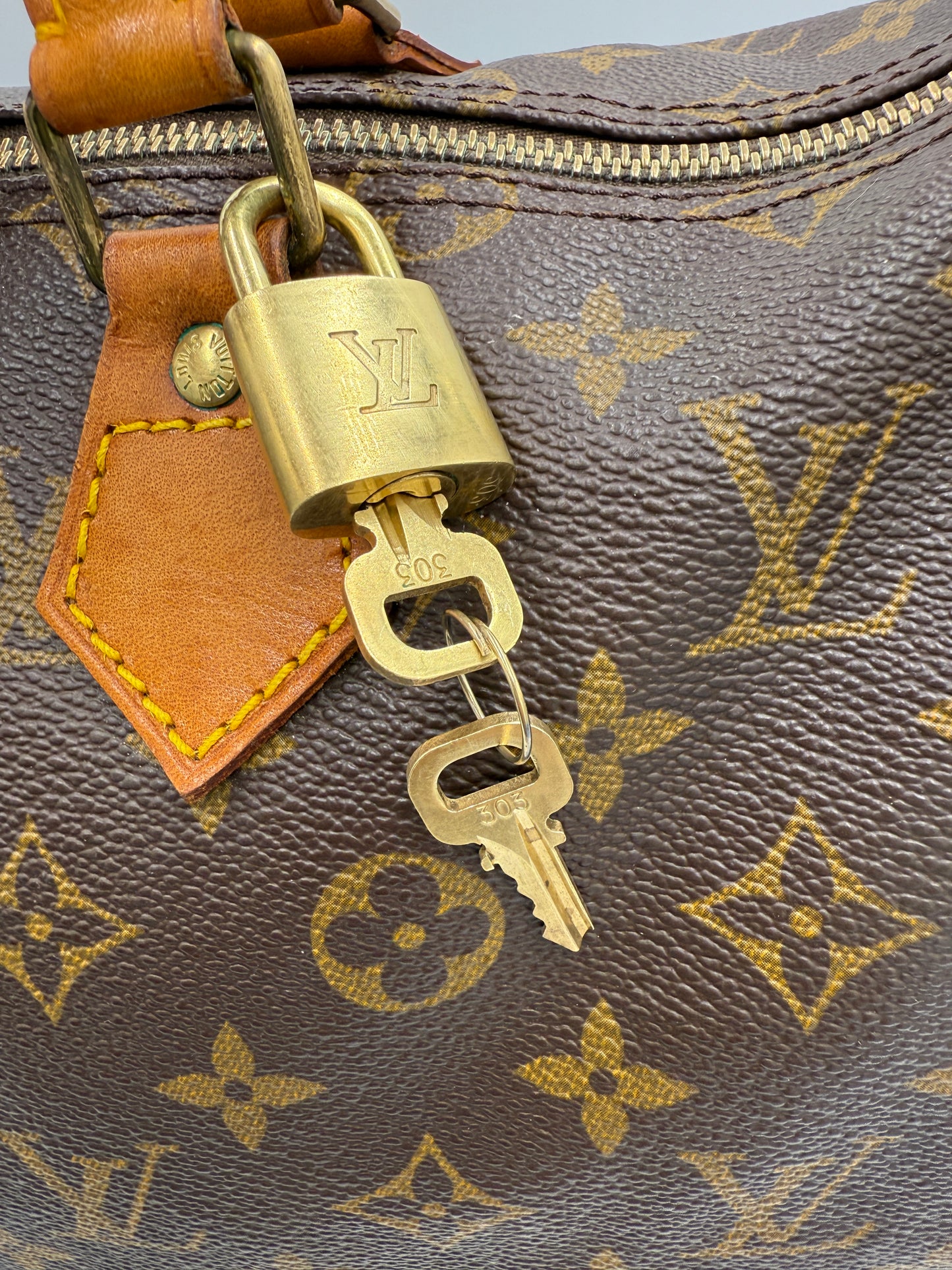 Louis Vuitton Monogram Coated Canvas Speedy 30 VI881
