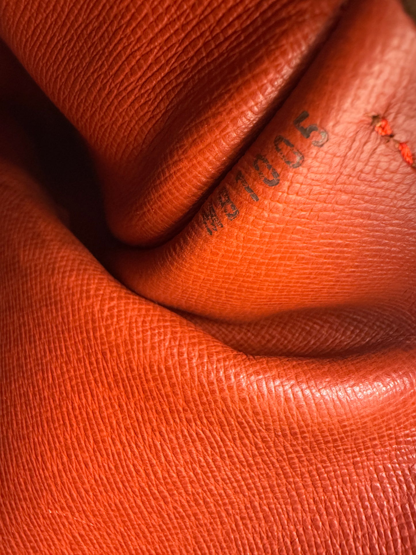 Louis Vuitton Damier Ebene Papillon 30 cm MB1005