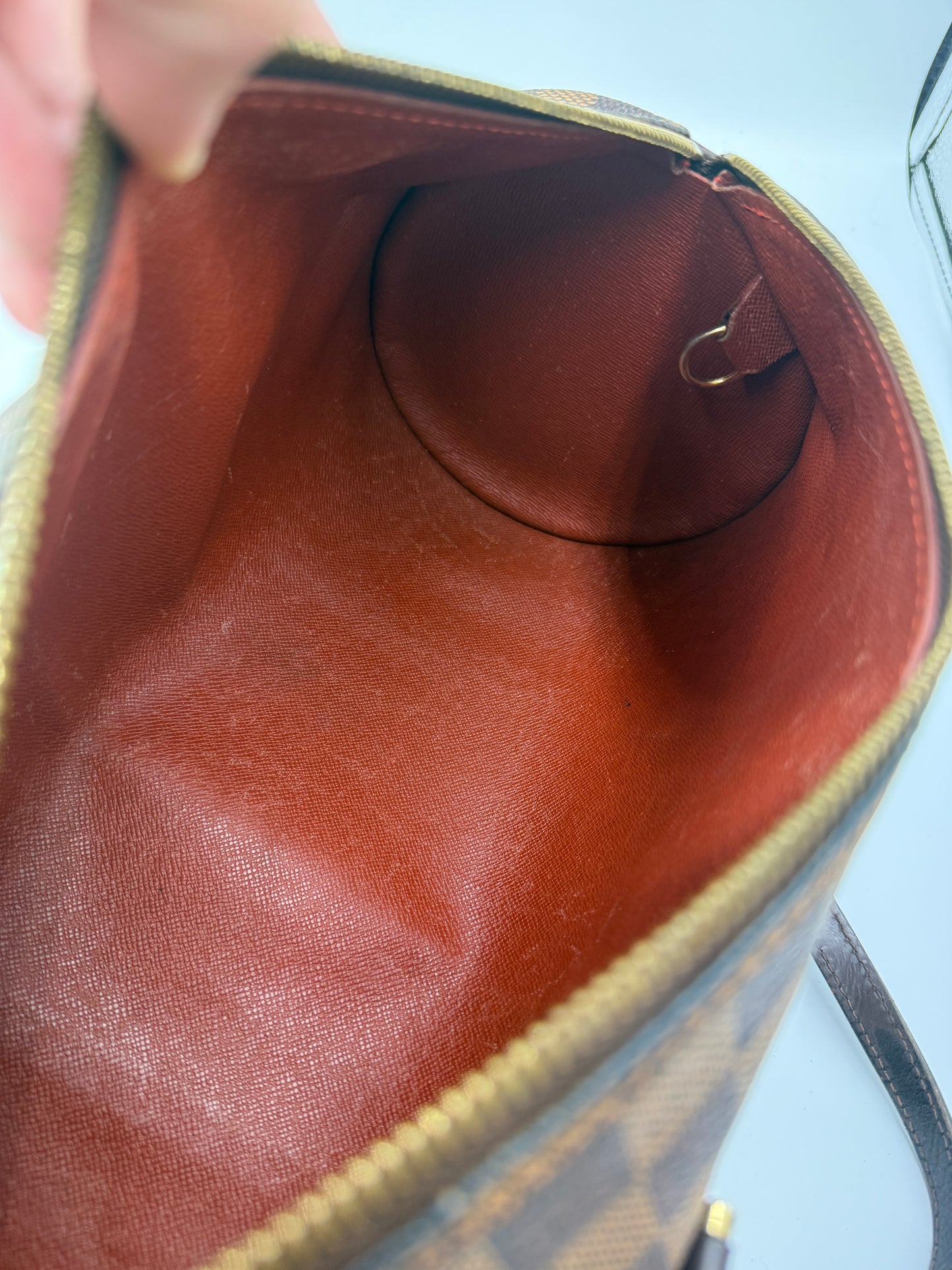 Louis Vuitton Damier Ebene Papillon 30 with Mini