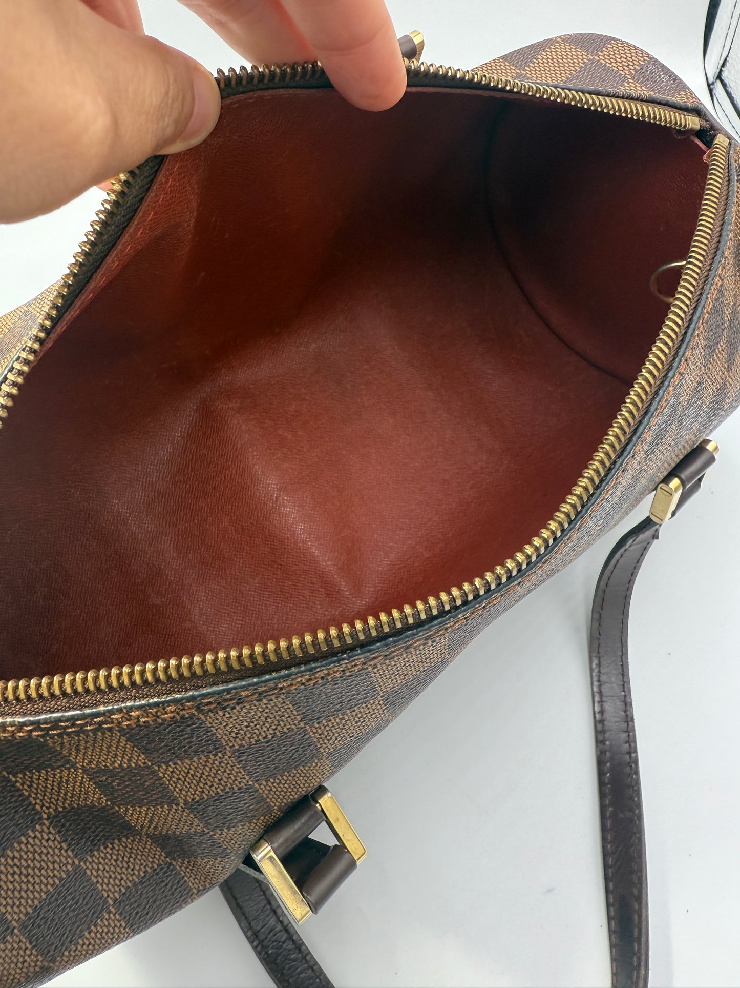 Louis Vuitton Damier Ebene Papillon 30 with Mini