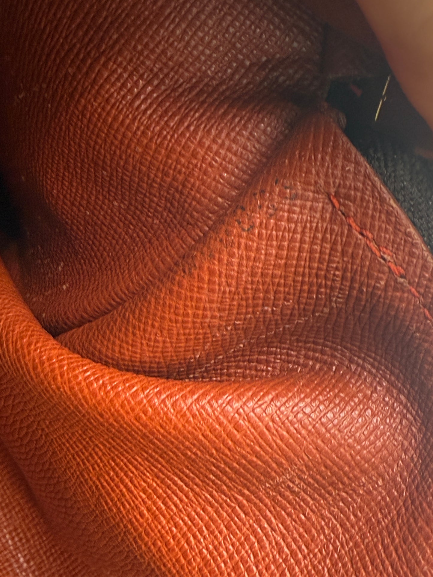 Louis Vuitton Damier Ebene Papillon 30 with Mini