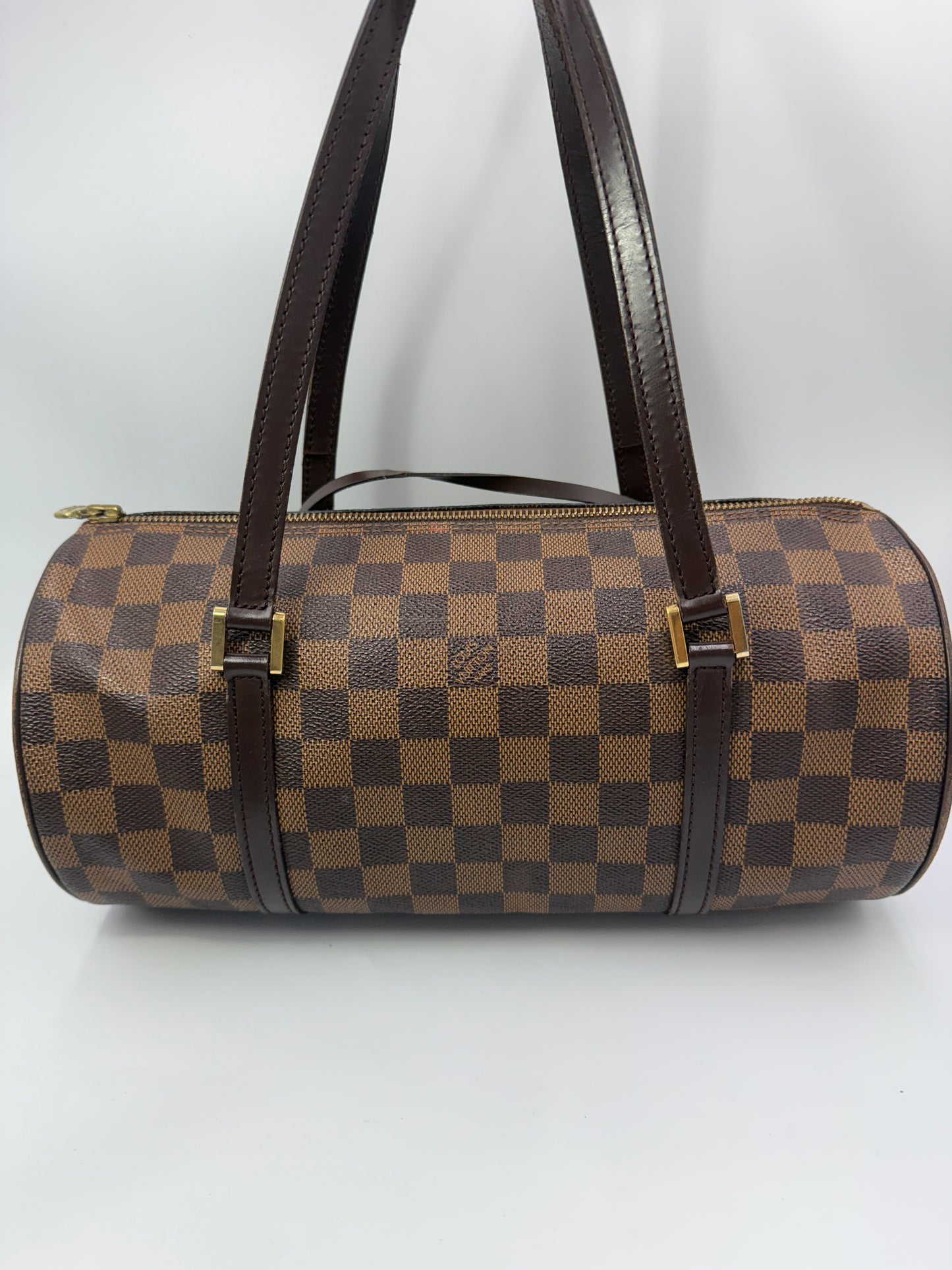 Louis Vuitton Damier Ebene Papillon 30 with Mini