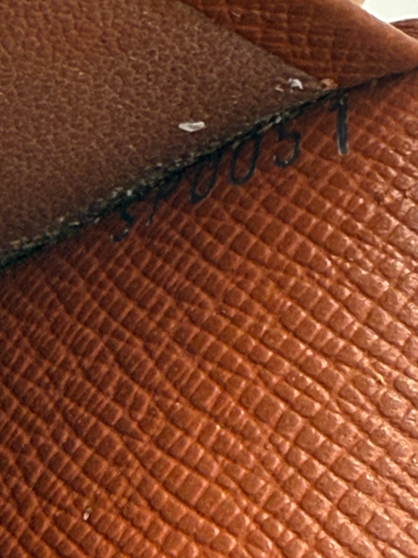 Louis Vuitton Monogram Coated Canvas Agenda MM SP0051